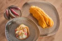 Carte & Menus · Restaurant Gastronomique Le 49R Lille